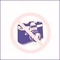 Filtr powietrza CHEVROLET - [02-352]
