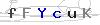 weryfikator
