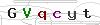 weryfikator