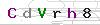 weryfikator
